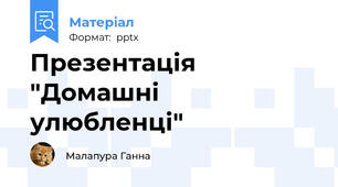 Презентація "Домашні улюбленці"