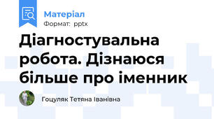 Діагностувальна робота. Дізнаюся більше про іменник