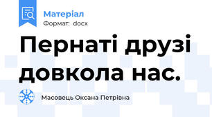 Пернаті друзі довкола нас.