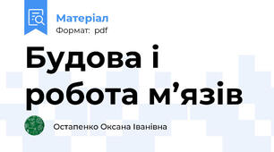 Будова і робота м’язів