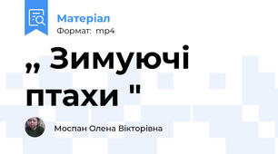 ,, Зимуючі птахи "