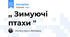 ,, Зимуючі птахи "