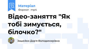 Відео-заняття "Як тобі зимується, білочко?"