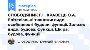 СЛОБОДЯНИК Г.І., КРАВЕЦЬ О.А.  Епітеліальні тканини: види, особливості будови, функції. Залози: види, будова, функції. Шкіра: будова, функції