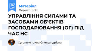 УПРАВЛІННЯ СИЛАМИ ТА ЗАСОБАМИ ОБ’ЄКТІВ ГОСПОДАРЮВАННЯ (ОГ) ПІД ЧАС НС
