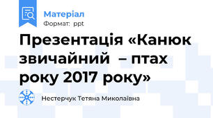 Презентація «Канюк звичайний  – птах року 2017 року»
