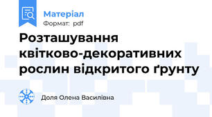 Розташування квітково-декоративних рослин відкритого ґрунту