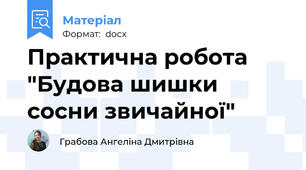 Практична робота "Будова шишки сосни звичайної"