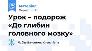 Урок – подорож  «До глибин головного мозку»