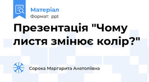 Презентація "Чому листя змінює колір?"