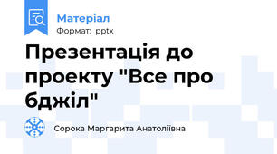 Презентація до проекту "Все про бджіл"