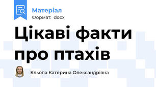 Цікаві факти про птахів