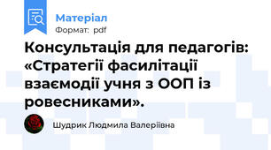 Консультація для педагогів:  «Стратегії фасилітації взаємодії учня з ООП із ровесниками».