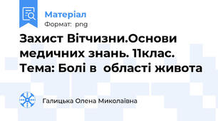 Захист Вітчизни.Основи медичних знань. 11клас. Тема: Болі в  області живота
