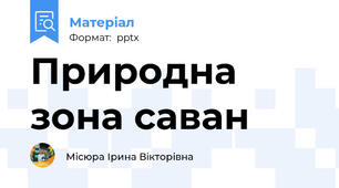 Природна зона саван