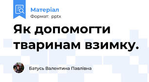 Як допомогти тваринам взимку.