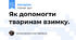 Як допомогти тваринам взимку.