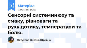 Сенсорні системинюху та смаку, рівноваги та руху,дотику, температури та болю.