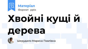Хвойні кущі й дерева