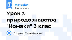 Урок з природознавства "Комахи" 3 клас