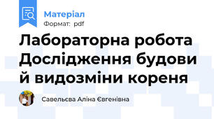 Лабораторна робота Дослідження будови й видозміни кореня