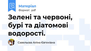Зелені та червоні, бурі та діатомові водорості.
