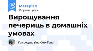 Вирощування печериць в домашніх умовах