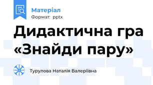 Дидактична гра «Знайди пару»