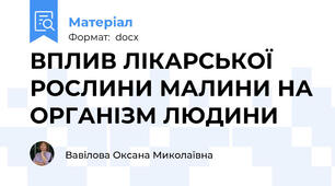 ВПЛИВ ЛІКАРСЬКОЇ РОСЛИНИ МАЛИНИ НА ОРГАНІЗМ ЛЮДИНИ