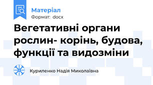 Вегетативні органи рослин- корінь, будова, функції та видозміни