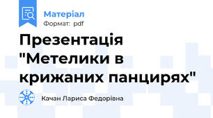 Презентація "Метелики в крижаних панцирях"