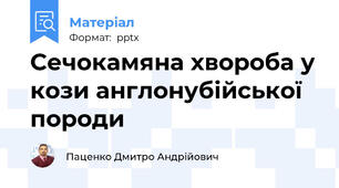 Сечокамяна хвороба у кози англонубійської породи