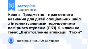 Урок з  Предметно – практичного навчання для дітей спеціальних шкіл з інтелектуальними порушеннями помірного ступеню (F-71)  5  класи на тему: ,,Виготовлення аплікації  Птахи’’