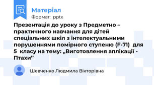 Презентація до уроку з Предметно – практичного навчання для дітей спеціальних шкіл з інтелектуальними порушеннями помірного ступеню (F-71)  для 5  класу на тему: ,,Виготовлення аплікації -  Птахи’’