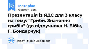 Презентація із ЯДС для 3 класу на тему: "Гриби. Значення грибів" (до підручника Н. Бібік, Г. Бондарчук)