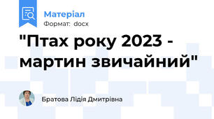 "Птах року 2023 - мартин звичайний"