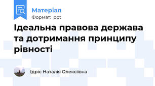 Ідеальна правова держава та дотримання принципу рівності