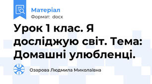 Урок 1 клас. Я досліджую світ. Тема: Домашні улюбленці.