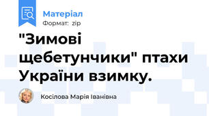 "Зимові щебетунчики" птахи України взимку.