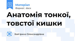 Анатомія тонкої, товстої кишки