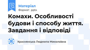 Комахи. Особливості будови і способу життя. Завдання і відповіді