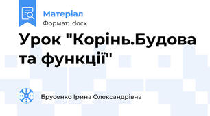Урок "Корінь.Будова та функції"