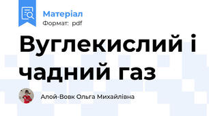 Вуглекислий і чадний газ