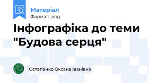 Інфографіка до теми "Будова серця"