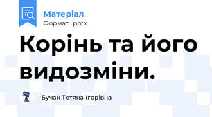 Корінь та його видозміни.