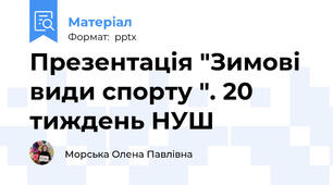 Презентація "Зимові види спорту ". 20 тиждень НУШ