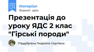 Презентація до уроку ЯДС 2 клас "Гірські породи"