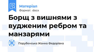 Борщ з вишнями з вудженим ребром та манзарями