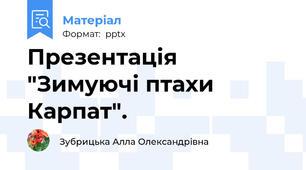 Презентація  "Зимуючі птахи Карпат".