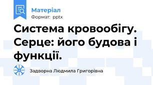 Система кровообігу. Серце: його будова і функції.